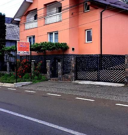Pensiunea Anca Rona de Jos Esterno foto