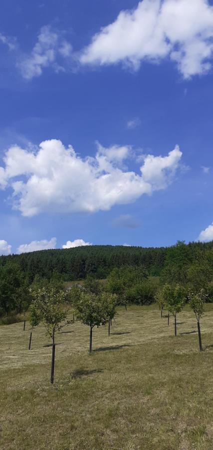 Pensiunea Anca Rona de Jos Esterno foto