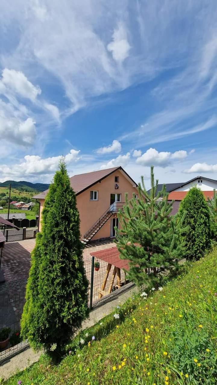 Pensiunea Anca Rona de Jos Esterno foto